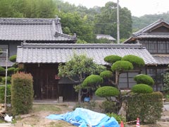 春日の家