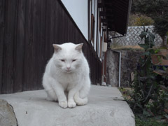 野串の家